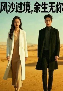 风沙过境，余生无你(全集)