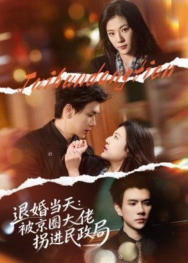 退婚当天：被京圈大佬拐进民政局(全集)